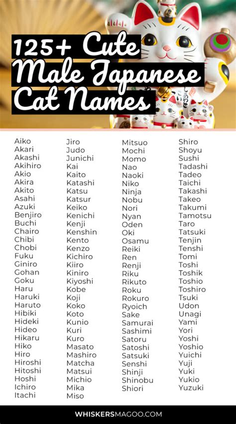 common cat names in japan|cute japanese cat names male.